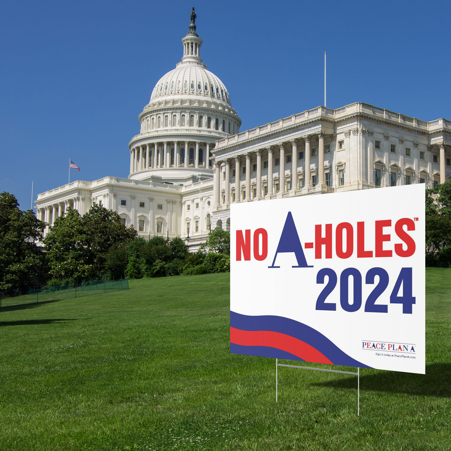 No A-Holes 2024 in the U.S. election for president, congress, and state and local officials.
